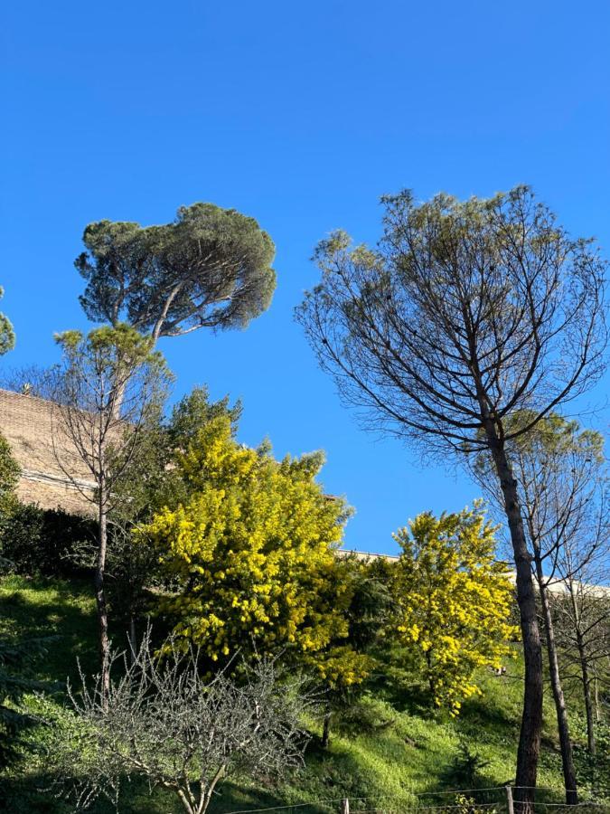 Vatican Green Holidays House روما المظهر الخارجي الصورة